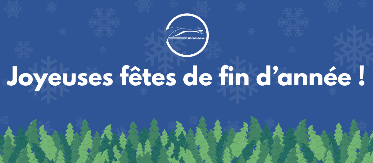 Joyeuses fêtes de fin d'année !